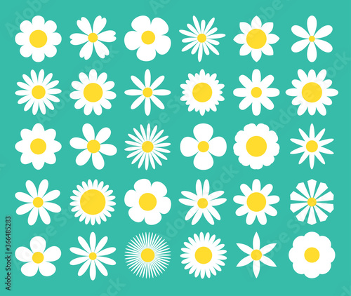 Camomile super big set. White daisy chamomile icon. Cute round flower plant nature collection. Love card symbol. Decoration element. Growing concept. Flat design. Green background. Isolated.