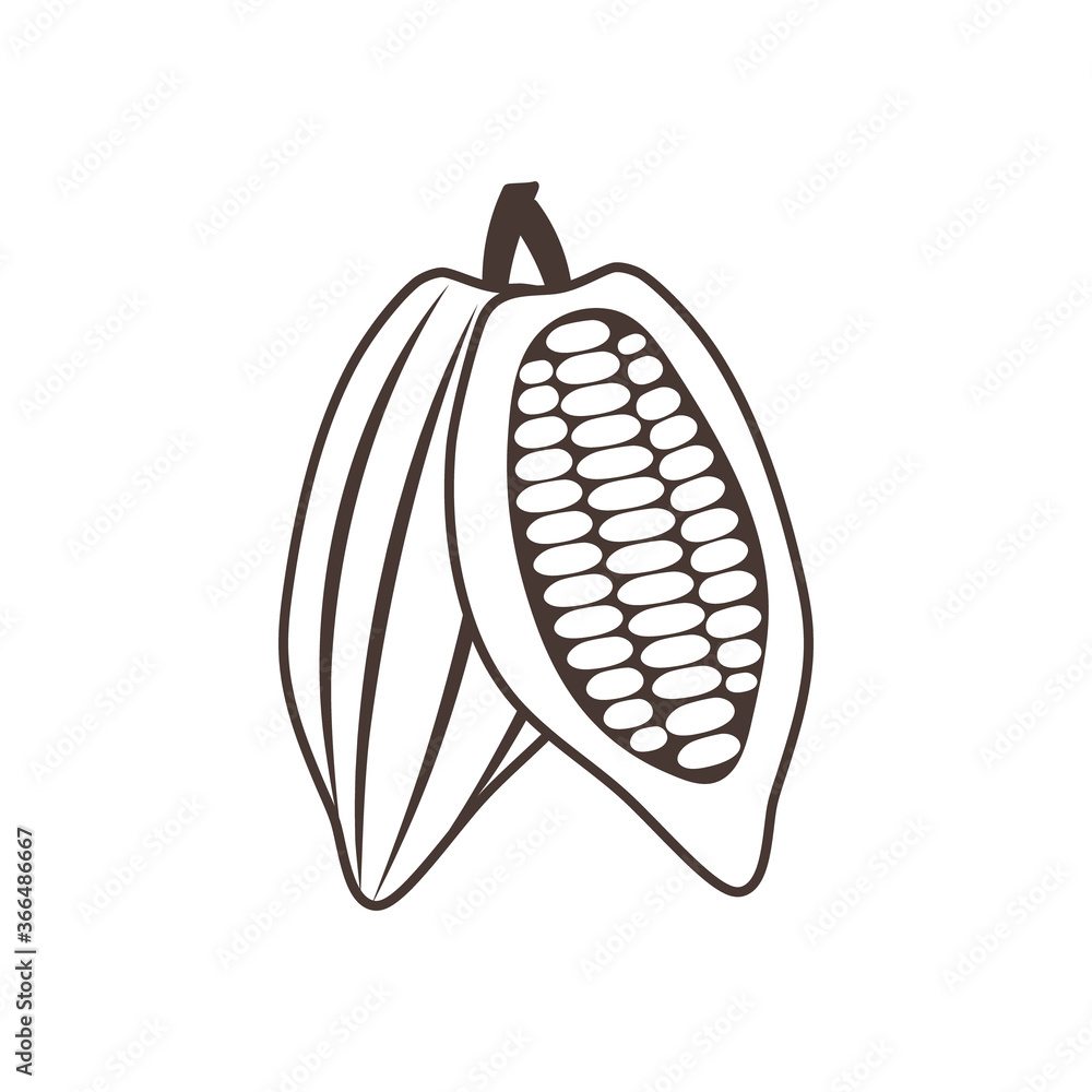 Doodle cocoa icon isolated on white. Hand drawing line art. Chocolate food. Sketch vector stock illustration. EPS 10 Doodle cocoa icon isolated on white. Hand drawing line art. Chocolate food. Sketch vector stock illustration. EPS 10