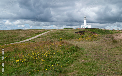 Lighthouse under heavy sky and wild flowers and grass in foreground, Flamborough, UK.