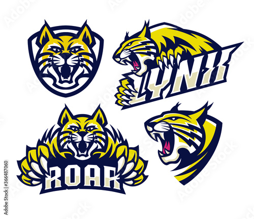 lynx wildcat logo mascot illustration photo
