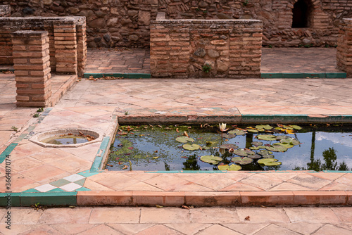 Nenufar in the gardens of La Alhambra in Granada, Spain