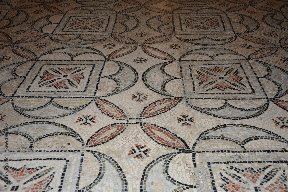 Floor mosaic of the Basilica of San Vitale in Ravenna, Italy