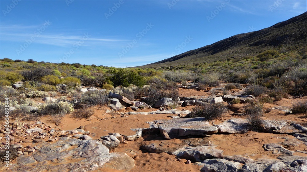 Karoo Semi Desert Landscape with Sand, Rocks and Green Hills Karoo Semi Desert Landscape with Sand, Rocks and Green Hills