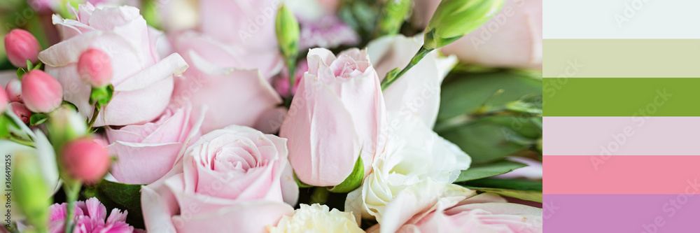Bouquet of fresh pink flowers close up, holiday background. Horizontal Web banner Bouquet of fresh pink flowers close up, holiday background. Horizontal Web banner