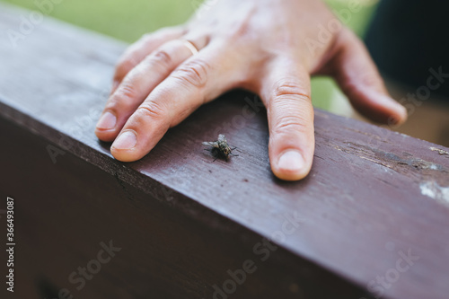 A man tries to catch a small black fly that is sitting. Killing an insect.