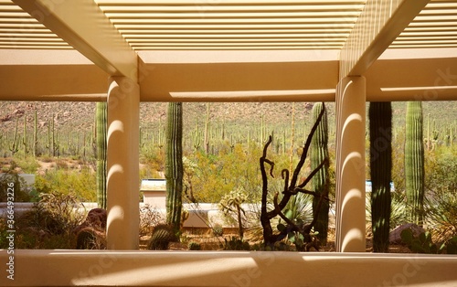Wallpaper Mural beautiful naturalistic architecture seamlessly frames the Arizonan desert cactus plant life