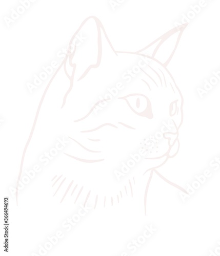 Cat Minimal Drawing