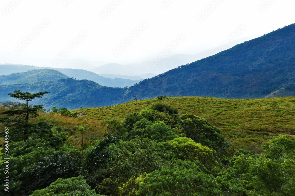 Fototapeta premium mountain landscape with trees