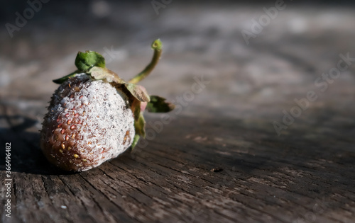 Moulded strawberry berries on a wooden background. photo