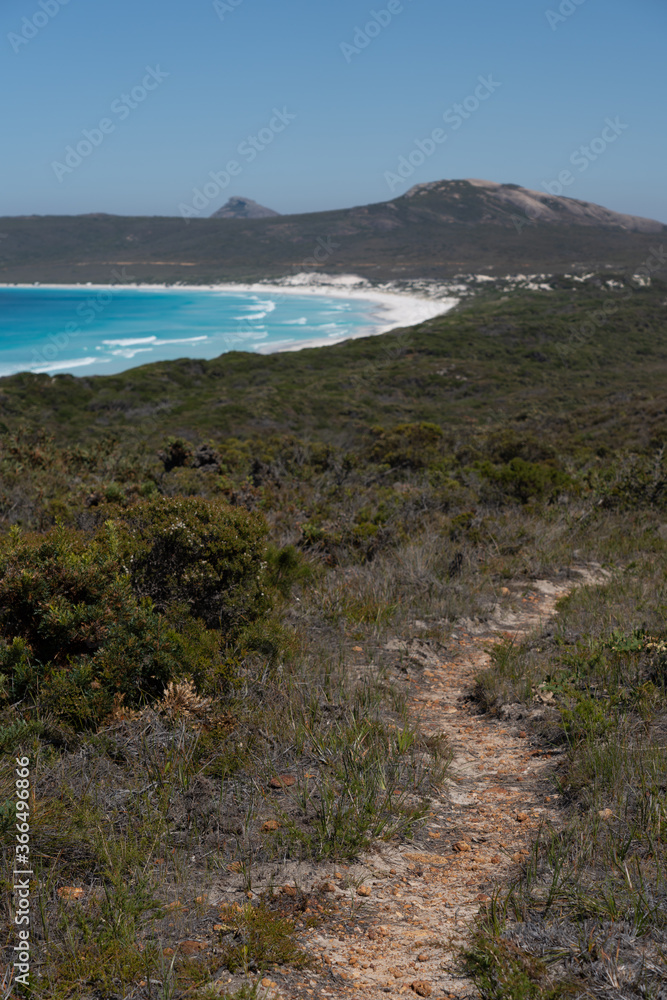 View of the rocks, the beach and nature surrounding Lucky Bay in Western Australia, australia.