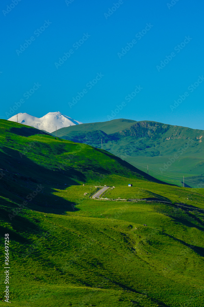 Elbrus and Green Meadow Hills at a Summer Day. North Caucasus, Russia, Vertical