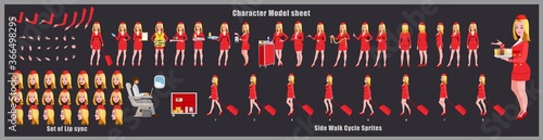 Stewardess Character Design Model Sheet with walk cycle animation. Girl Character design. Front, side, back view and explainer animation poses. Character set with various views and lip sync