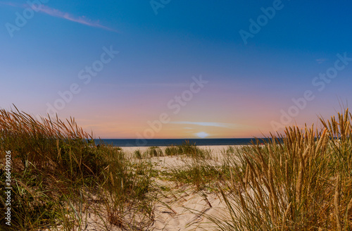 Sandy beach at sunset among the dunes