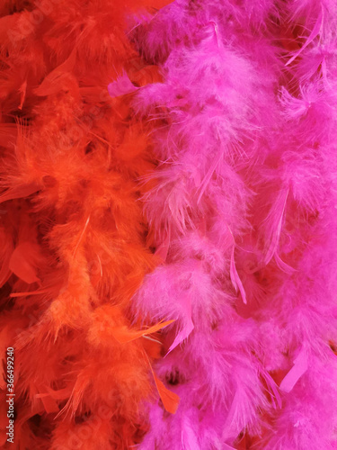 background of natural colored feathers. closeup, selective focus, noisy filter, blurred background