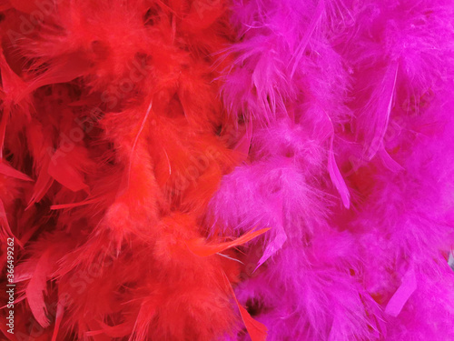 background of natural colored feathers. closeup, selective focus, noisy filter, blurred background