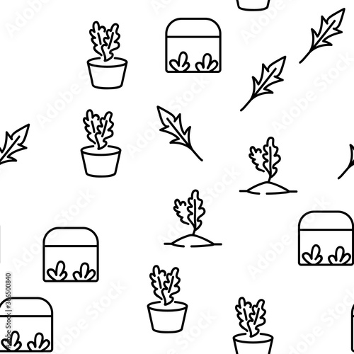 Arugula Or Rucola Vector Seamless Pattern Thin Line Illustration