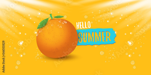 Vector Hello Summer horizontal banner or flyer Design template with fresh orange fruit isolated on orange background with lights. Hello summer concept label or poster with fruit and letternig text