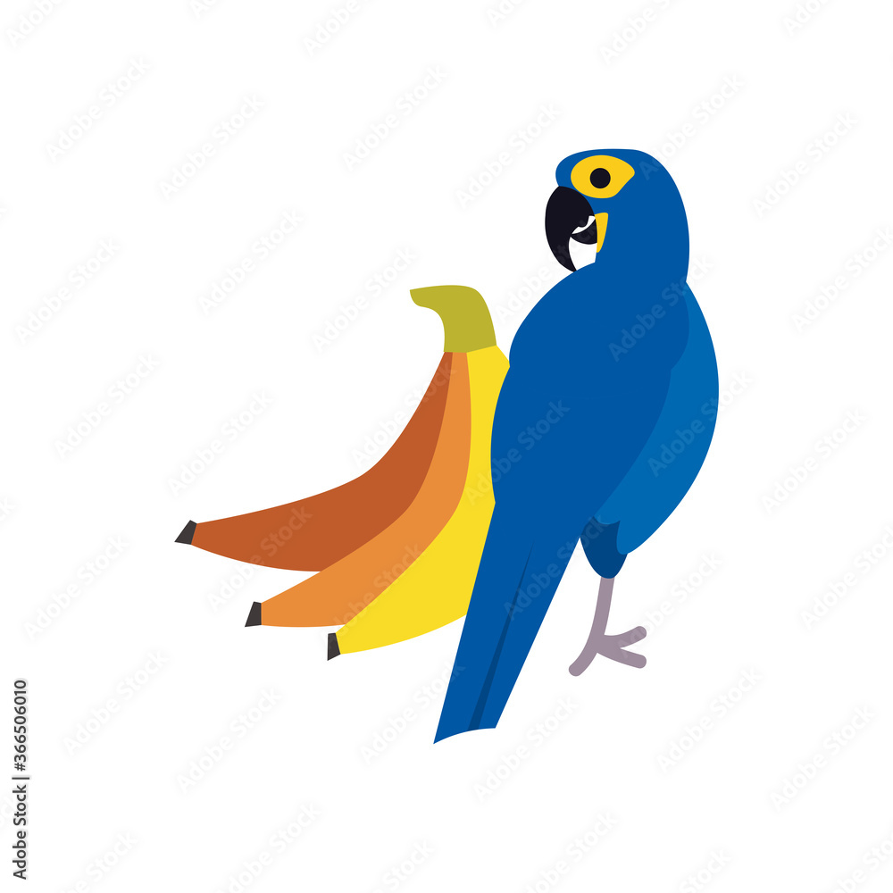 Fototapeta premium blue macaw bird and bananas flat style icon vector design