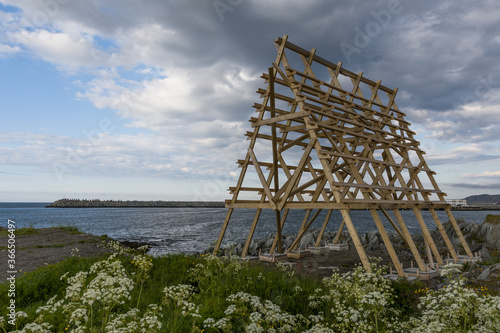 Kittiwake hotel - Seagull hotel