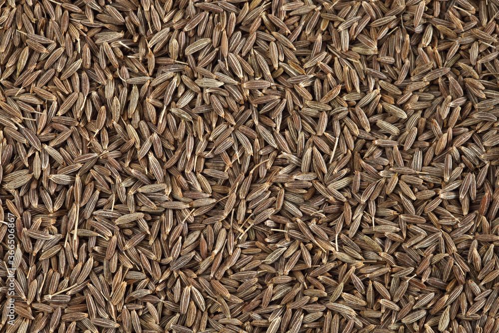 Cumin seeds as a background texture