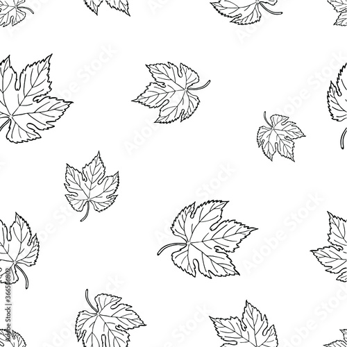 Seamless pattern with hand drawn leaves. Fashion, interior, wrapping, packaging suitable. Repeat graphic design of black and white maple leaf isolated on white