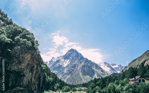 Summer landscape in the mountain with forest photo