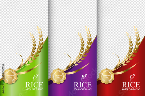 Rice food or thai food, banner and poster template vector design.