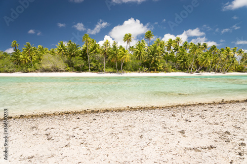 tropical beach with palm trees © cedric
