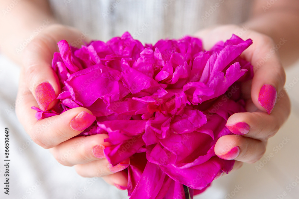 Fototapeta premium young girl holds a pink peony bud in her palms. Greeting card. Birthday. Mothers Day. Women Day