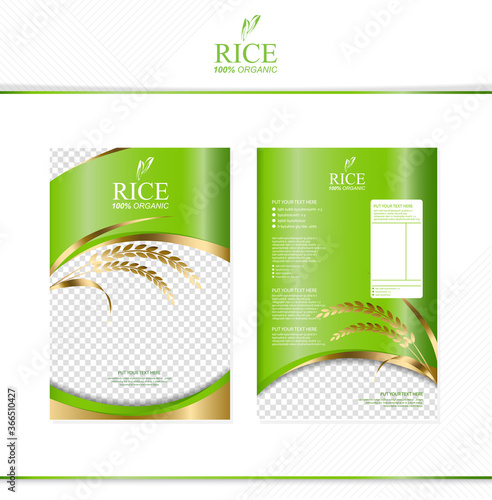 Rice food or thai food, banner and poster template vector design.