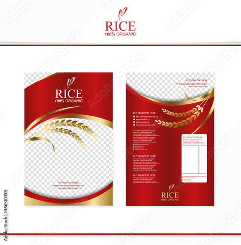 Rice food or thai food, banner and poster template vector design.