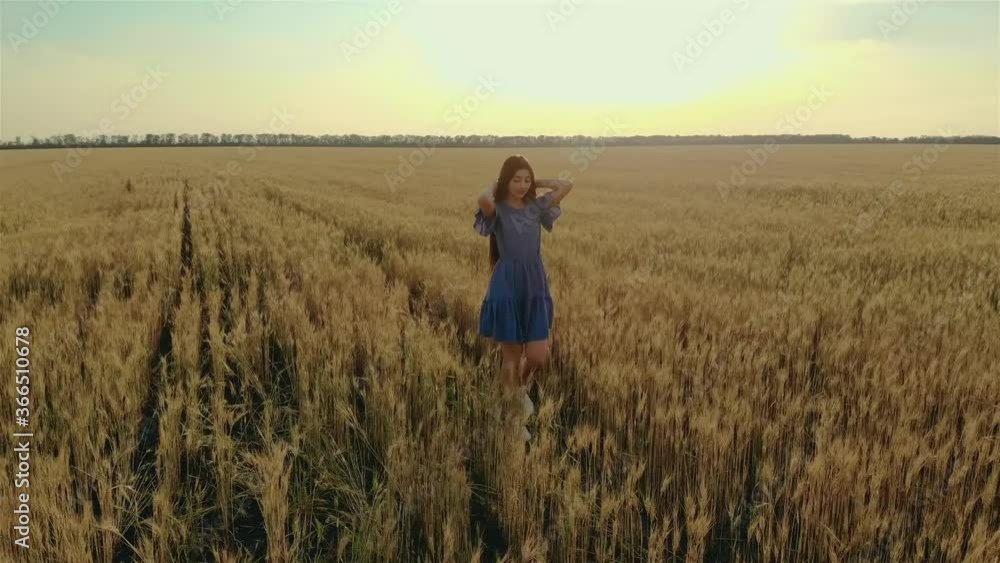 Aerial view of romantic and carefree young woman walking on wheat field enjoying freedom and calmness on rural nature during vacations holidays at sunset. Happy and successful lifestyle concept Aerial view of romantic and carefree young woman walking on wheat field enjoying freedom and calmness on rural nature during vacations holidays at sunset. Happy and successful lifestyle concept