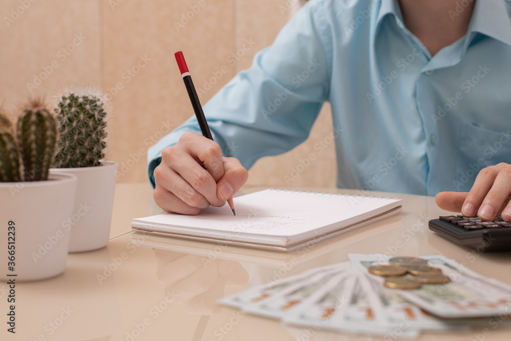accounting of monthly expenses, control of the family budget, income, loans and expenses, planning of monthly payments accounting of monthly expenses, control of the family budget, income, loans and expenses, planning of monthly payments