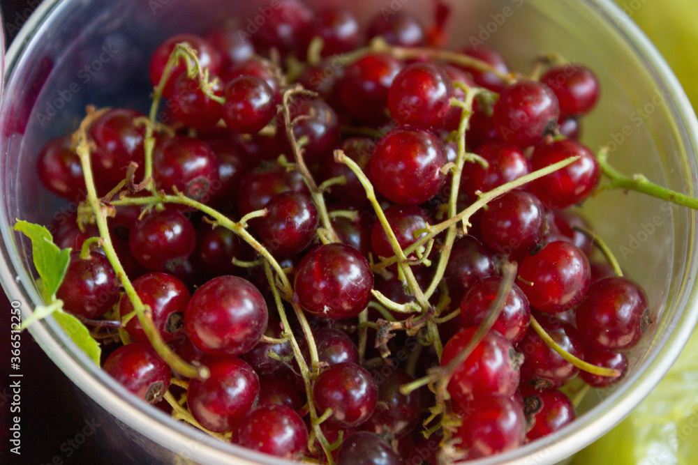 Red currant on cup Red currant on cup