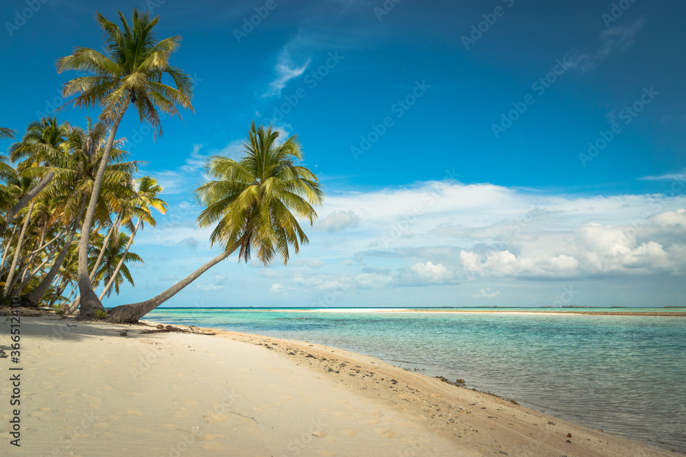 tropical beach with palm trees and lagoon