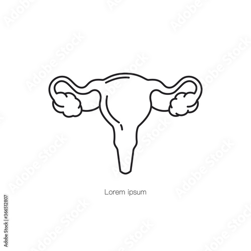 Female genital organs human organ outline icon. Female genital organs vector illustration.