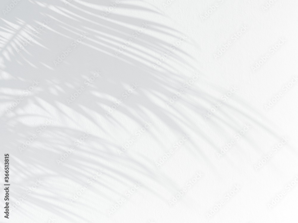 3d illustration of shadow on white stucco wall 3d illustration of shadow on white stucco wall