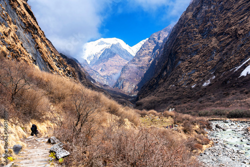 Trekking in Annapurna region with Annapurnas in the background photo