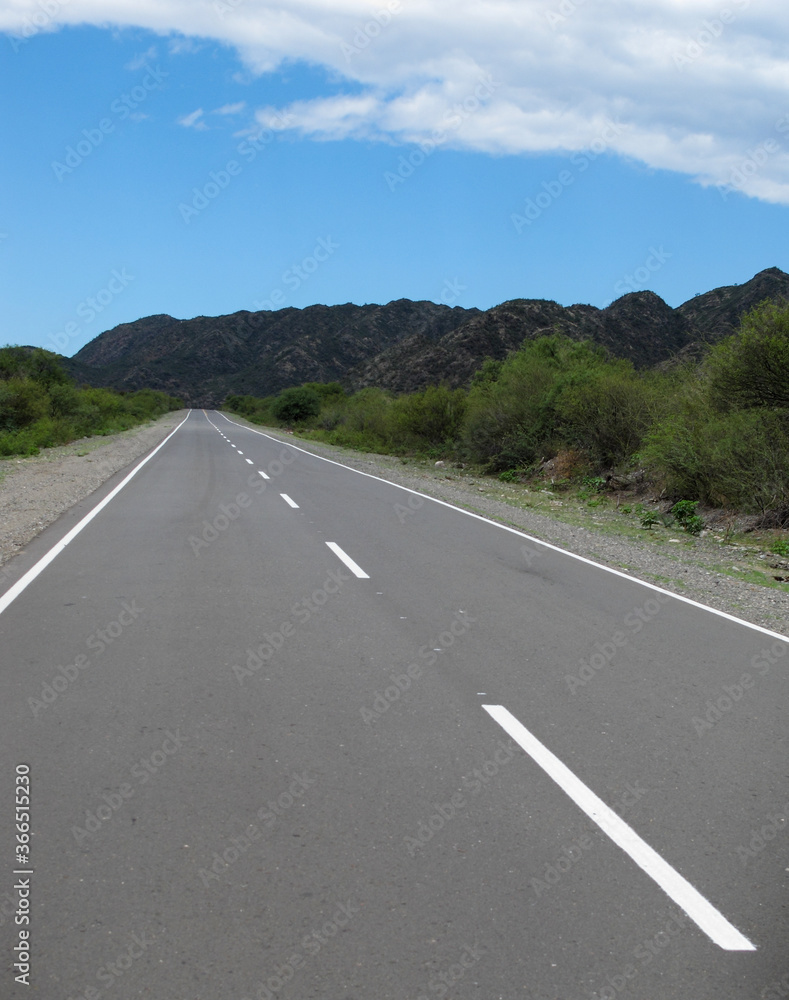 Naklejka premium Road between Chile and Argentina through Andes mountains