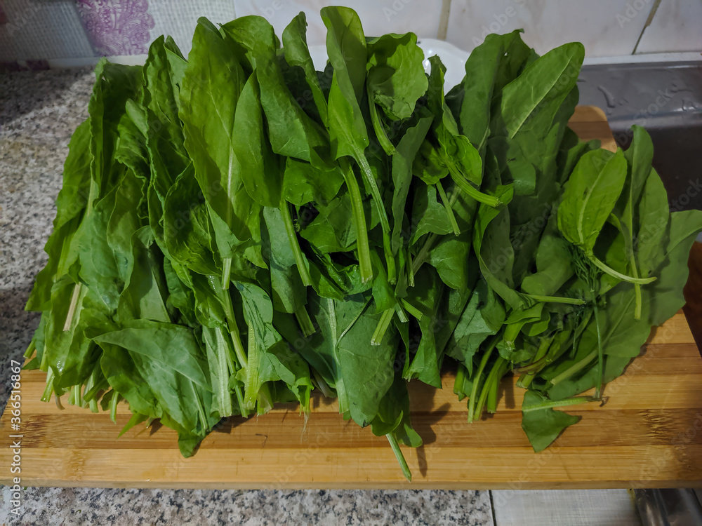 Fototapeta premium Kamen-na-Obi, Altai, Russia - May 23, 2020: Green leaves of sorrel lie on a wooden board. Veiw.