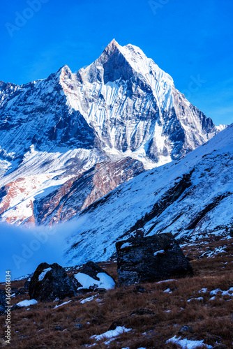 Panorama of Mount Machapuchare (Fishtail) at sunset, view from Annapurna base camp in the Nepal Himalaya. Machhapuchchare is a mountain in the Annapurna Himal of north Central Nepal photo