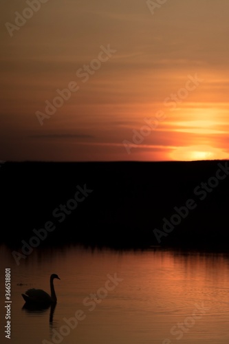sunset on the lake © Oleksandr