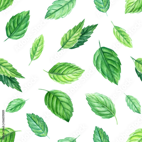 Peppermint leaves on isolated white background. Watercolor Seamless patterns.  © Hanna