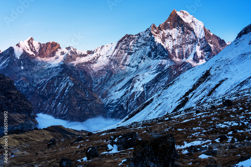 Panorama of Mount Machapuchare (Fishtail) at sunset, view from Annapurna base camp in the Nepal Himalaya. Machhapuchchare is a mountain in the Annapurna Himal of north Central Nepal photo