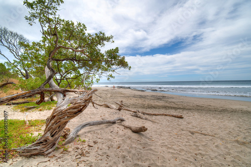 Warm vacation day at the sandy beach, Playa Negra, Costa Rica