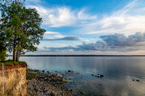 Rocks cliff with trees . Cloudy Summer Evening on Baltic Sea