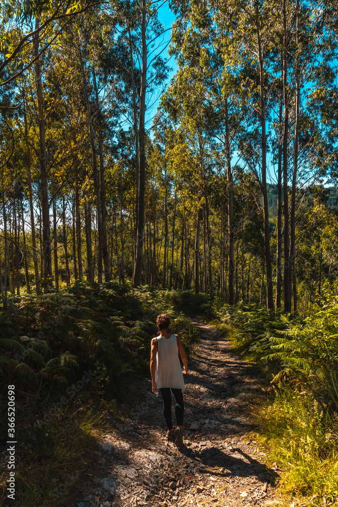 A young woman strolling along the path between trees in the Listorreta Natural Park in the town of Errenteria in the park of the Peñas de Aya or Aiako Harria park. Gipuzkoa, Basque Country. In summer A young woman strolling along the path between trees in the Listorreta Natural Park in the town of Errenteria in the park of the Peñas de Aya or Aiako Harria park. Gipuzkoa, Basque Country. In summer