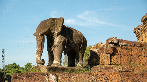 ruined elephant in temple