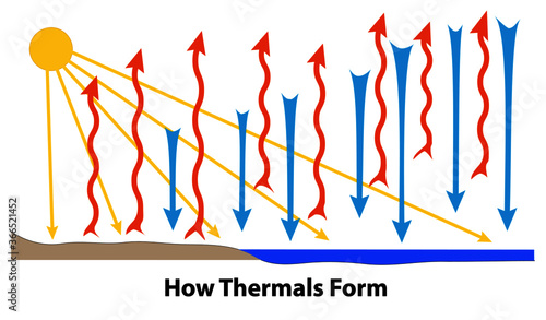Thermals form over land and water. Sunlight heats the ground. Warm air rises and cool air sinks.