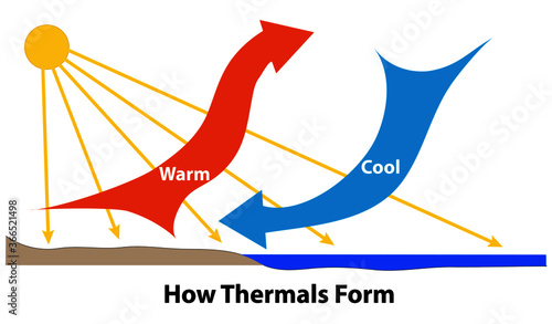 Why thermals form. Sunlight heats the land and the warm air above it rises and floats over the cooler air masses. Cool air sinks over water or shaded areas.